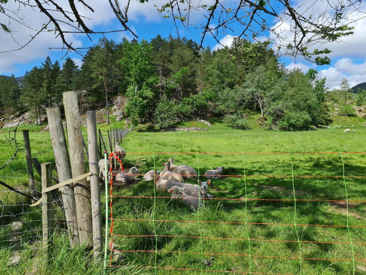 Hygge Pa Fjellet Villa Øyuvstad Exterior foto