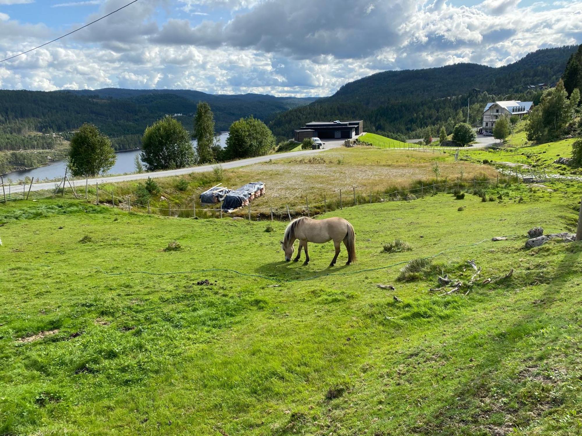 Hygge Pa Fjellet Villa Øyuvstad Exterior foto